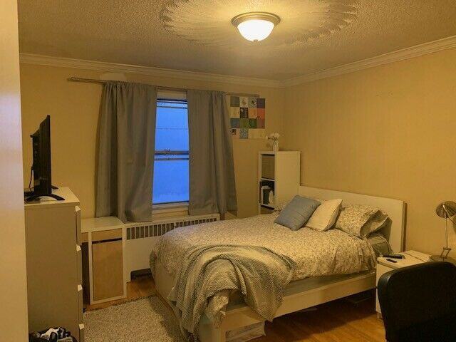 19 Clegg Street - Photo 3 of 10