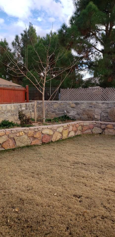 11526 Tony Ponce Dr #1 - Photo 2 of 50