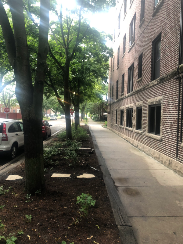 1726 W Thome Ave #2 - Photo 2 of 18