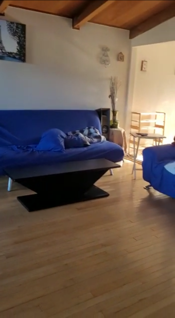 215 Dennis Dr - Photo 4 of 13