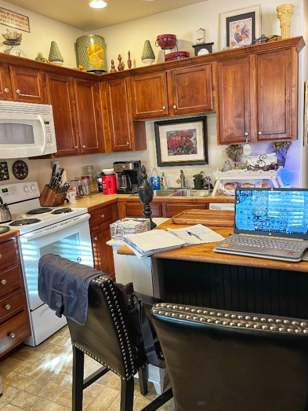 3332 Apple Blossom Way #5 - Photo 3 of 20