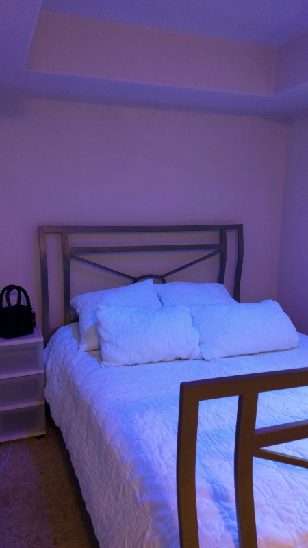 3345 Oliphant St #DS - Photo 5 of 9