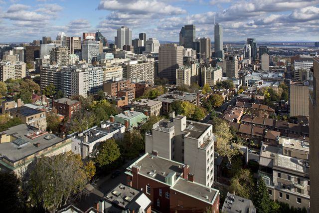 1400 Avenue des Pins Ouest - Photo 13