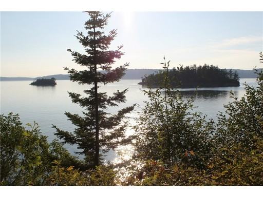 17770 Tuk Tuk Trail - Photo 2 of 15