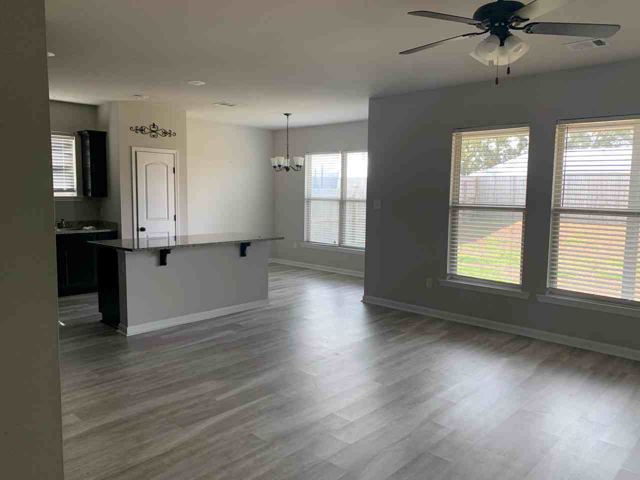 201 Saint Caillin St - Photo 3 of 17