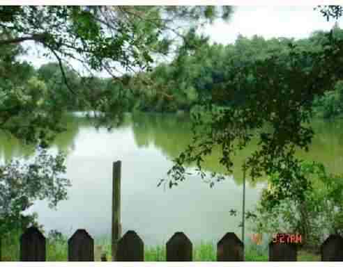 12415 Kiwi Ave - Photo 2 of 15