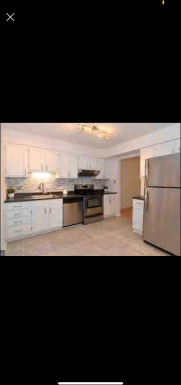 4461 Starling Court - Photo 3 of 17