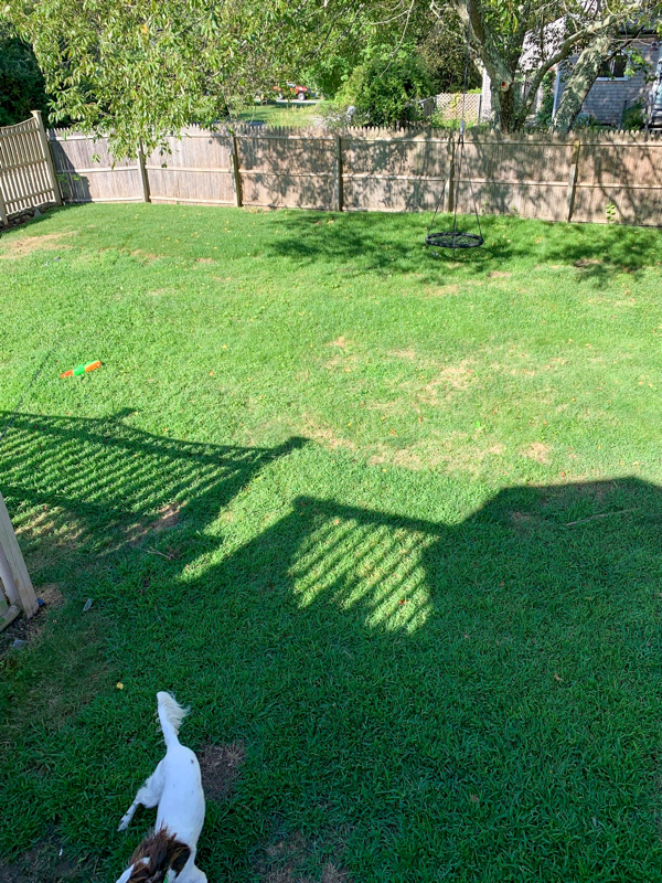 383 Davit Ave - Photo 3 of 28