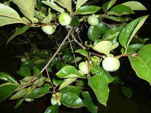 509 Whits End - Photo 2 of 20