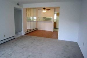 Steeplechase at Weatheridge - Photo 2 of 14