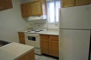 Steeplechase at Weatheridge - Photo 3 of 14