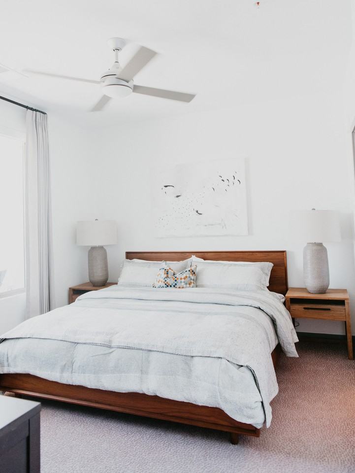 Tanager - Photo 3 of 17