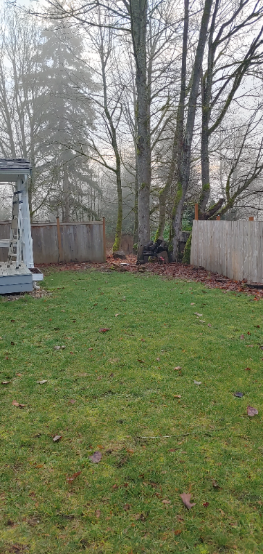 11429 11th Dr Ne - Photo 2 of 8