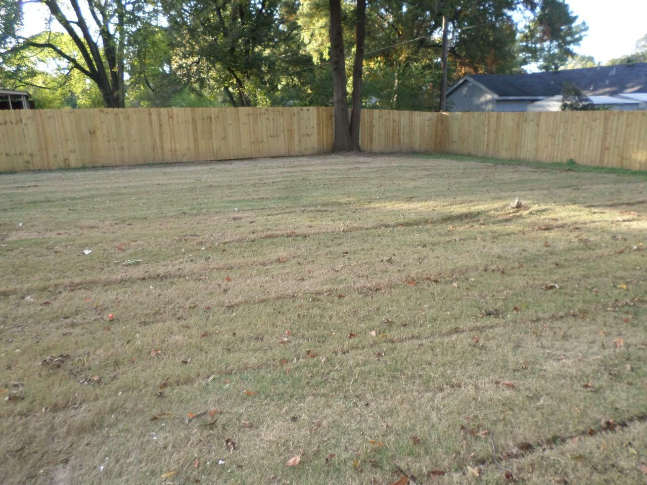 4226 Chippewa Rd - Photo 3 of 5