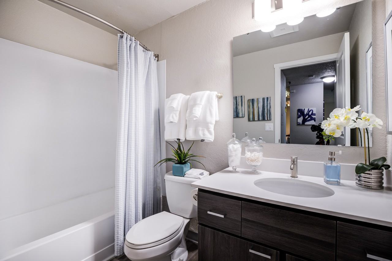 Knol Apartments - Photo 5 of 20