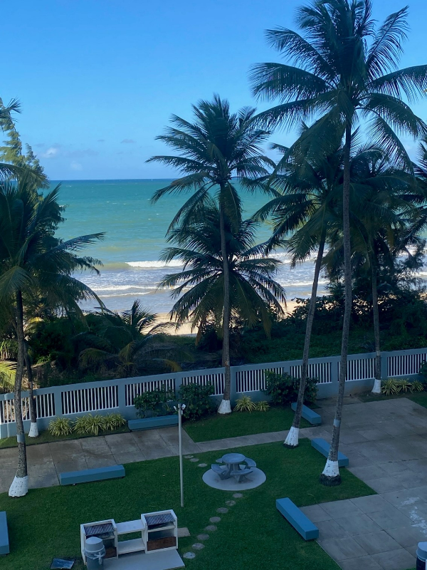 4327 Ave Isla Verde - Photo 2 of 7