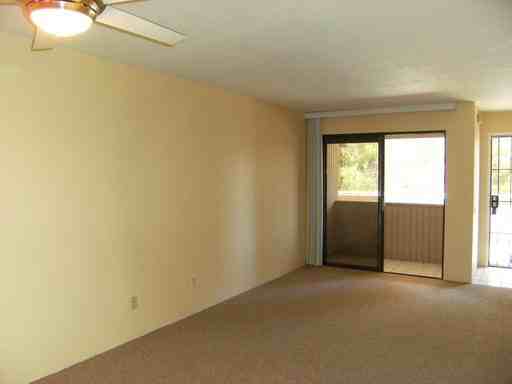 701 Los Felices Cir W - Photo 3 of 12
