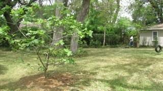 1247 Ardsley Rd - Photo 2 of 22