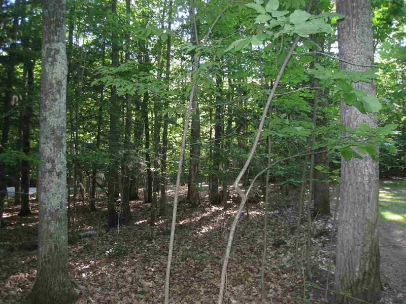 1580 Timber Pass - Photo 2 of 25