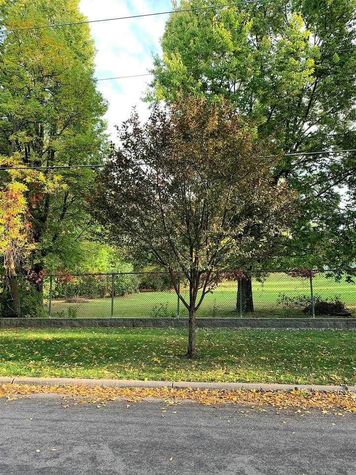 1633 Christie Pl - Photo 2 of 9