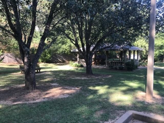 The Elms - Photo 4 of 5