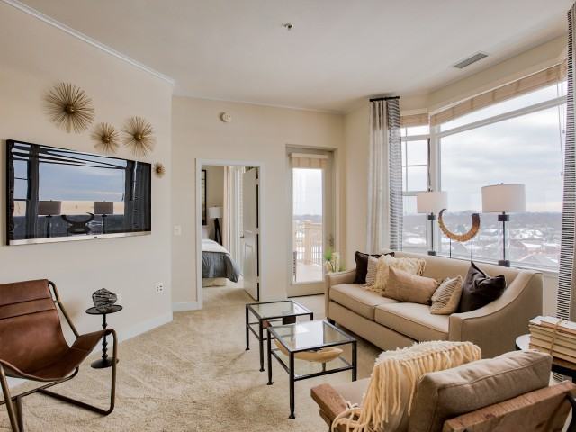 The Amelia - Photo 3 of 50