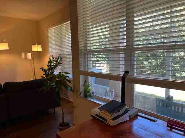 3916 Silverlake Way - Photo 3 of 24