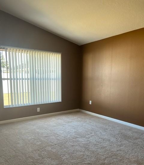 30513 Randall Manor St - Photo 5 of 16