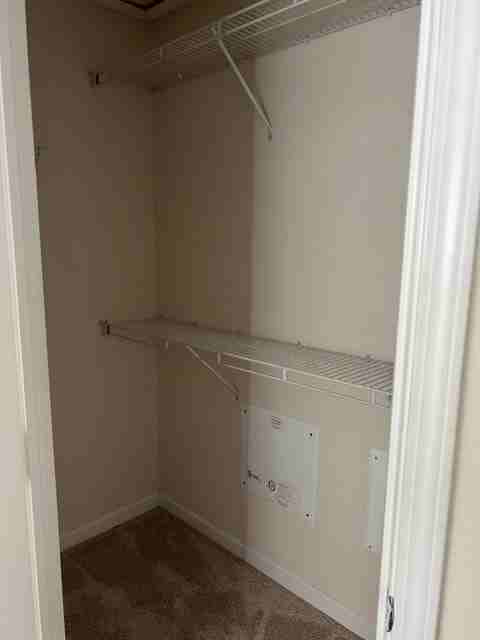 30513 Randall Manor St - Photo 6 of 16