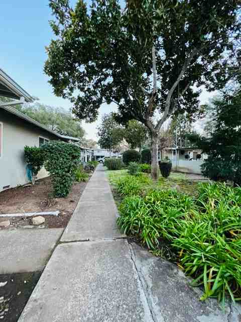 176 Brush Creek Rd - Photo 2 of 13