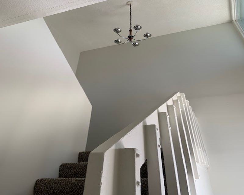 Treeloft - Photo 5 of 10