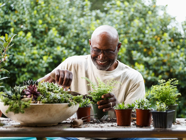 Overture Arboretum 60+ Active Adult Apartment Homes - Photo 6 of 50