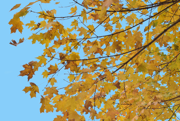 Tide Mill Apartments - Photo 5 of 47