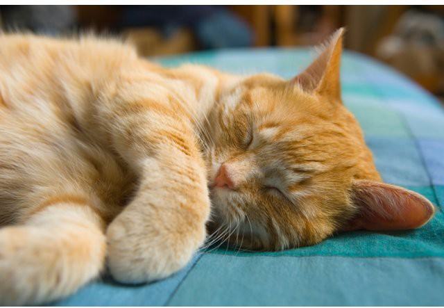 COHASSET PLACE - Photo 7 of 10