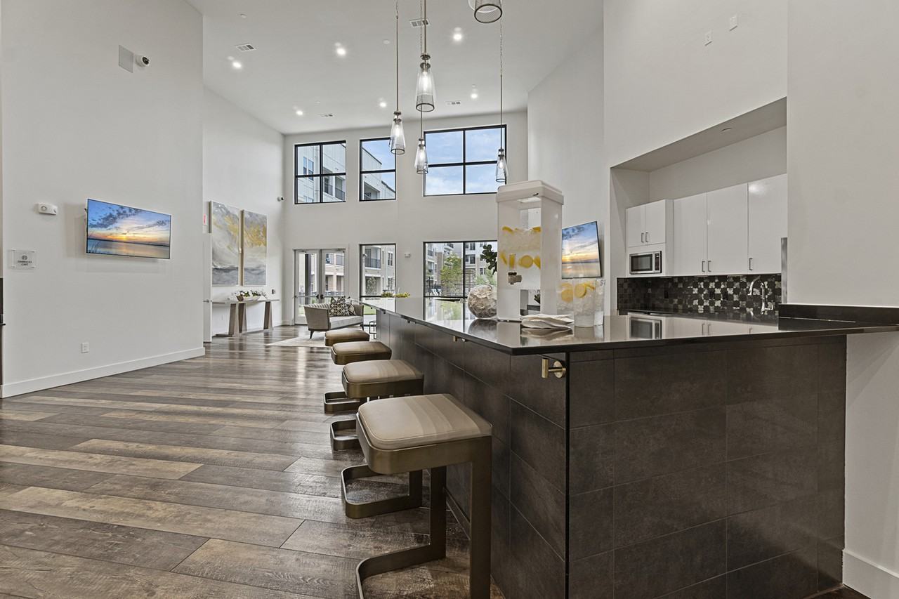 Luxe at Mercer Crossing - Photo 2 of 50