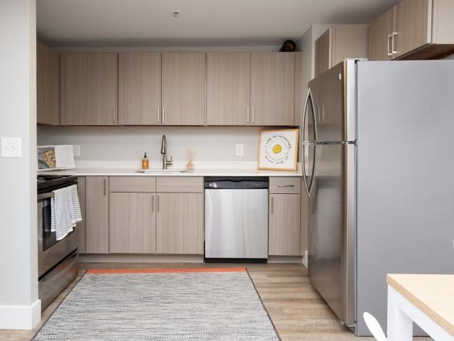 SoCam290 - Photo 2 of 50