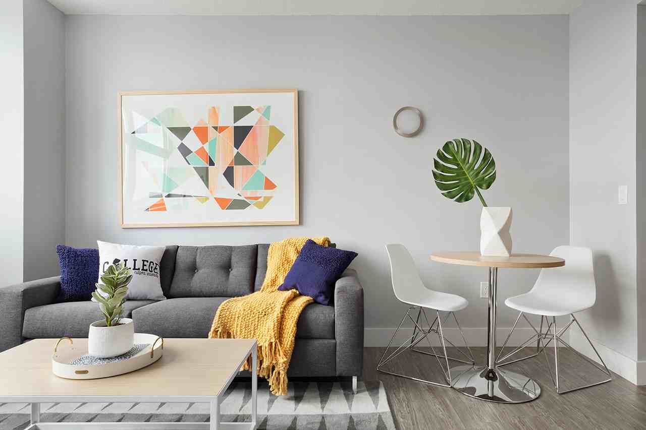 SoCam290 - Photo 6 of 50