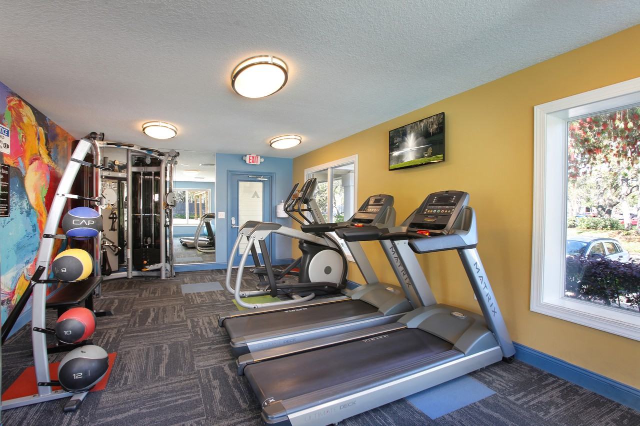 Agora at Port Richey - Photo 4 of 28