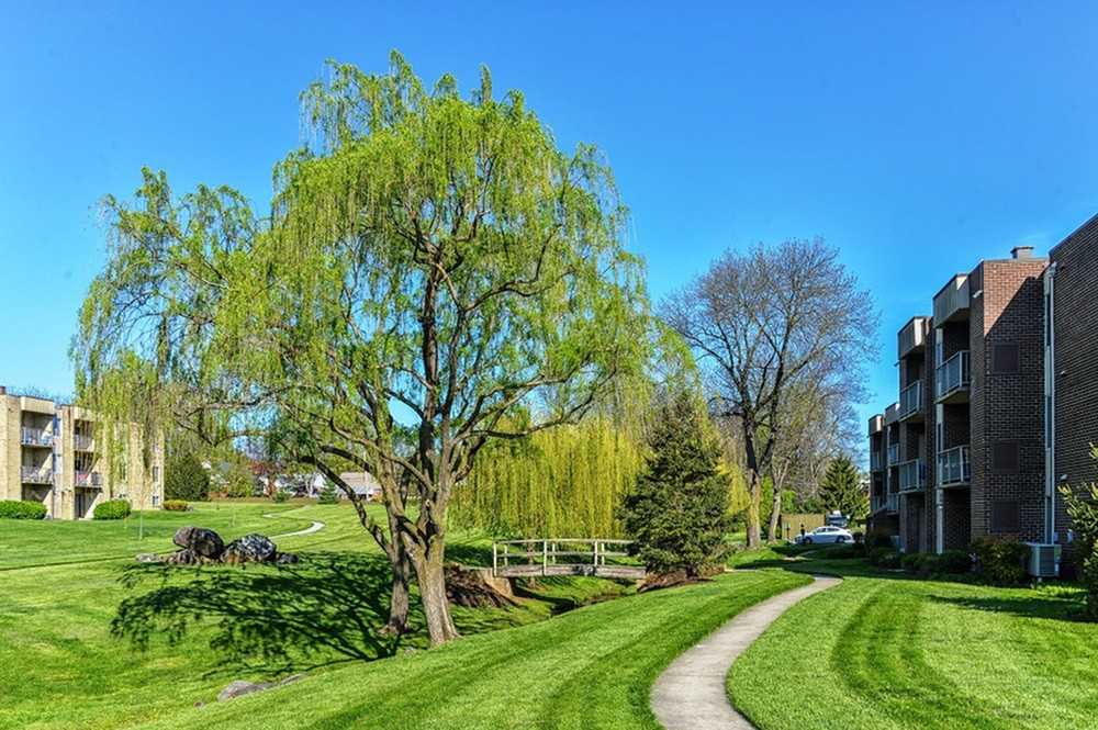 Brookstone - Photo 7 of 14