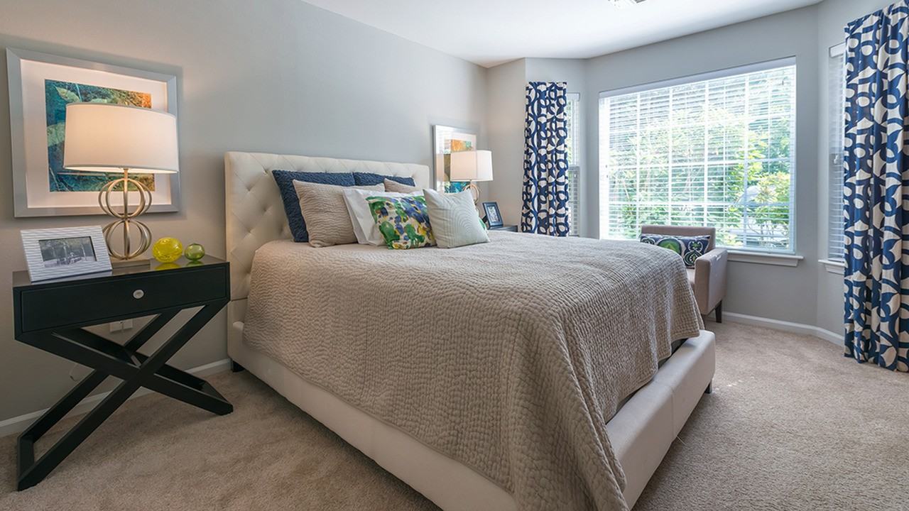 Alister Quincy - Photo 6 of 33