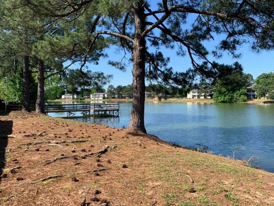 Z-AndMark North Lake - Photo 3 of 17