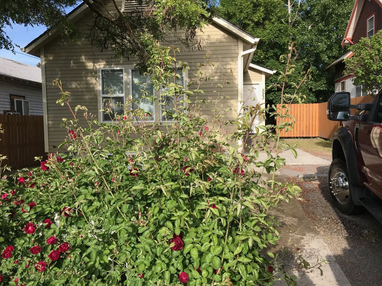 523 South Hatch Street - Photo 2 of 15