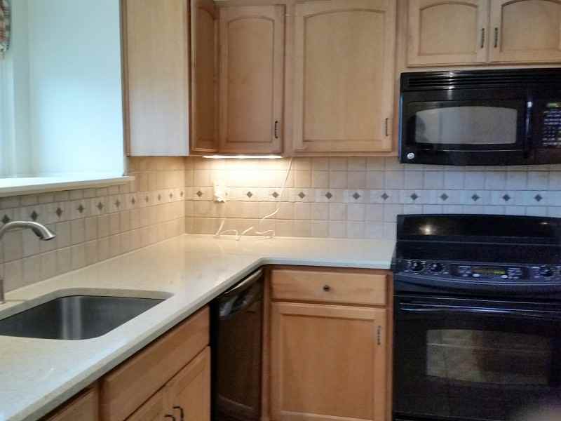 196 Hollow Oak Ct - Photo 3 of 16