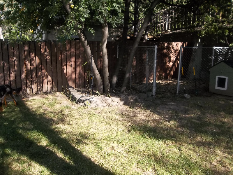 212 7th Street - Photo 6 of 46