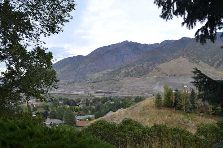 7425 S Magic View Cir #1 - Photo 2 of 9