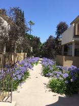 Sky PROPERTIES - Photo 1 of 1
