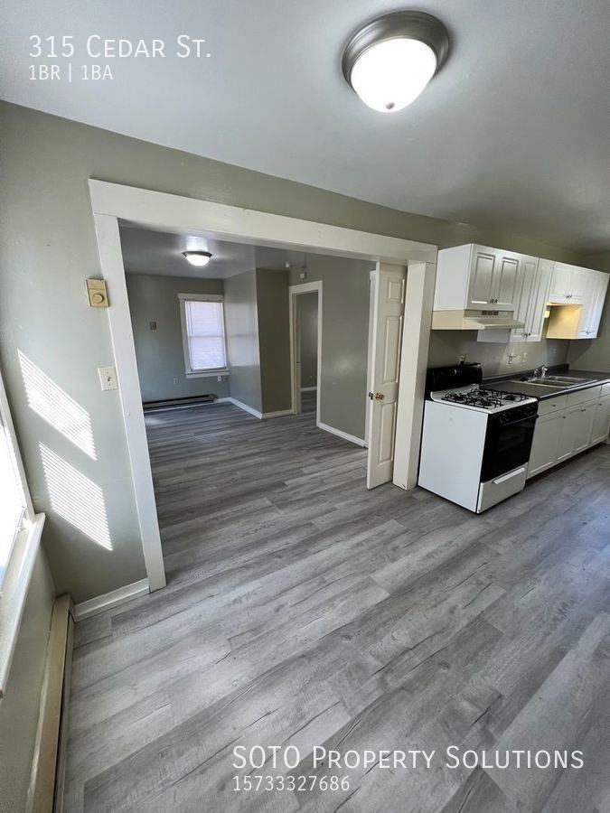 315 Cedar St - Photo 3 of 8