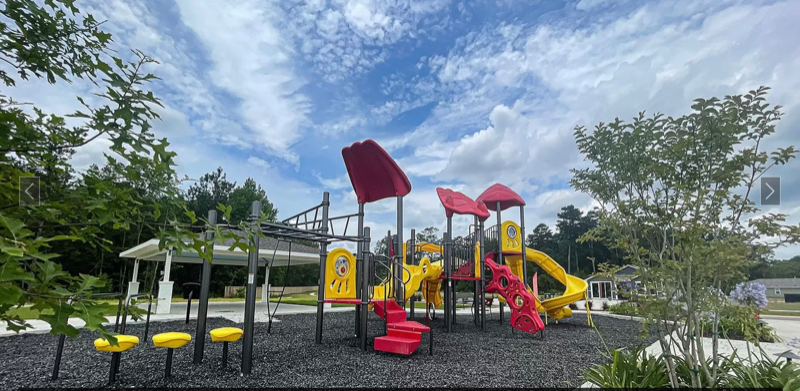 33419 Hyacinth St - Photo 3 of 22