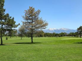 4770 S Simmental Dr - Photo 1 of 1