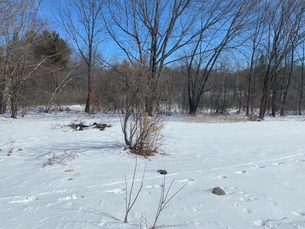 1136 Pownal Rd - Photo 2 of 17